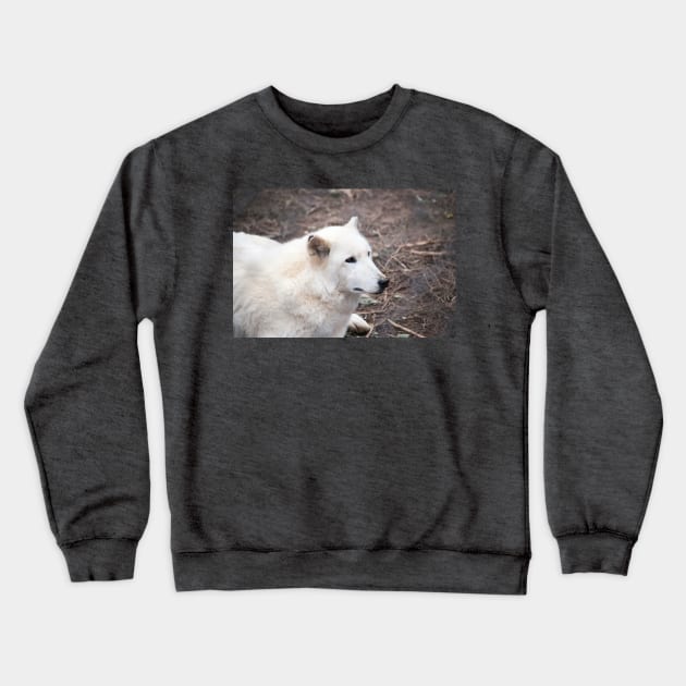 White wolf. Crewneck Sweatshirt by brians101